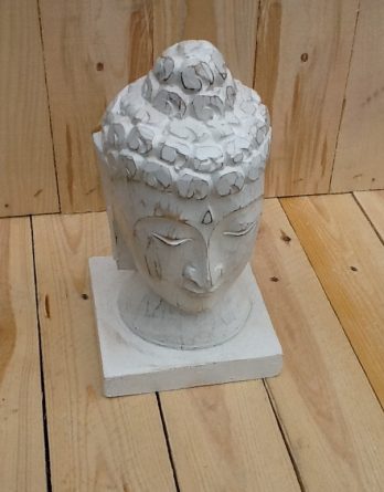 Budha weiss