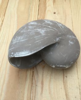 Muschelform aus Stein